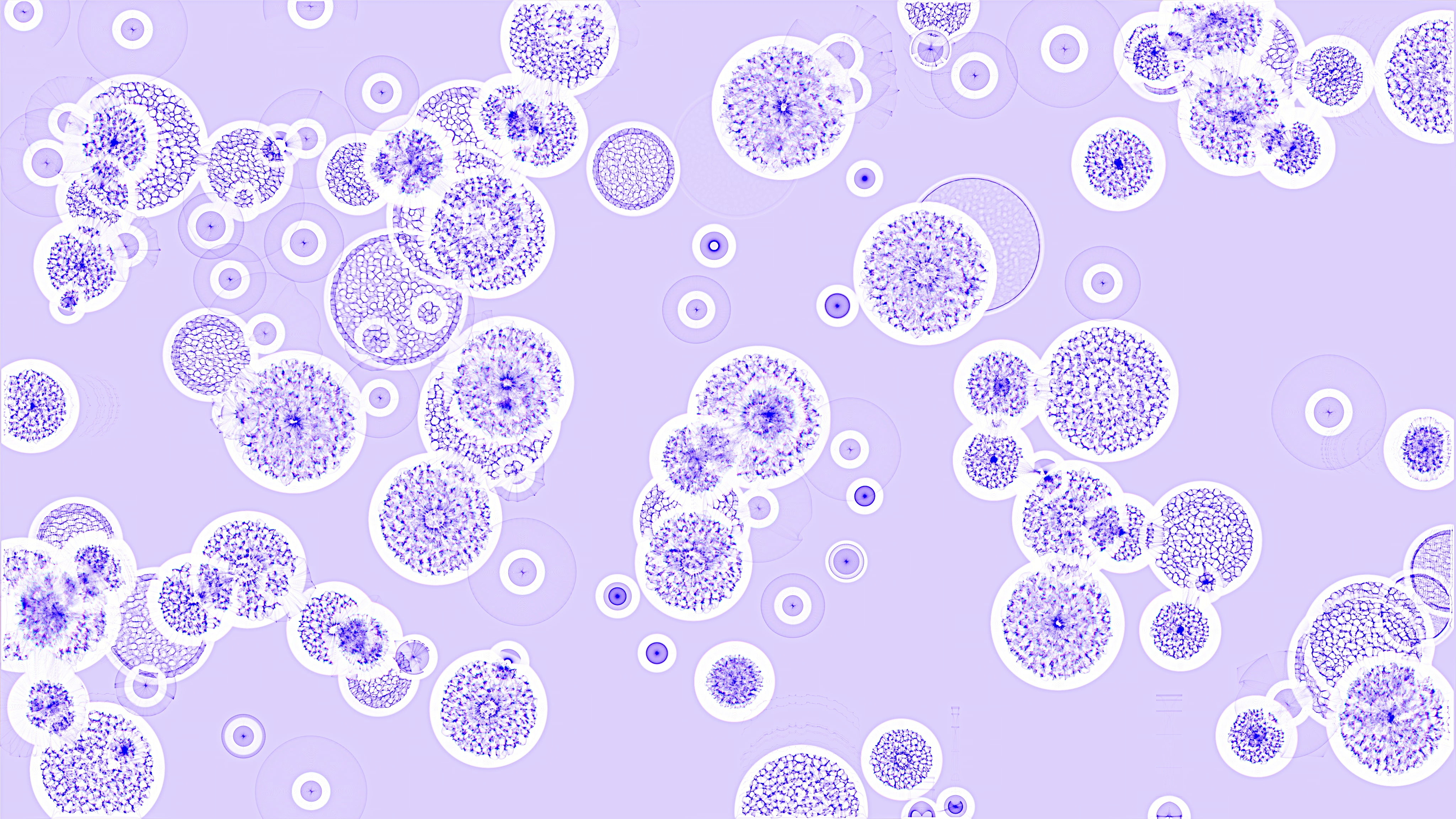 Biological Sciences Research Services
